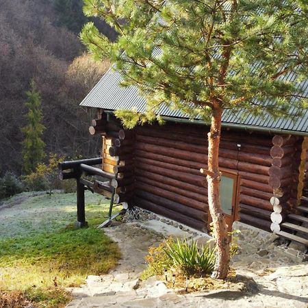 Bungalow In Mauntains With Chan Near The Forest Szlavszke Kültér fotó